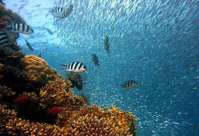 Devenez expert en soudure sous-marine : formation incontournable en 2026